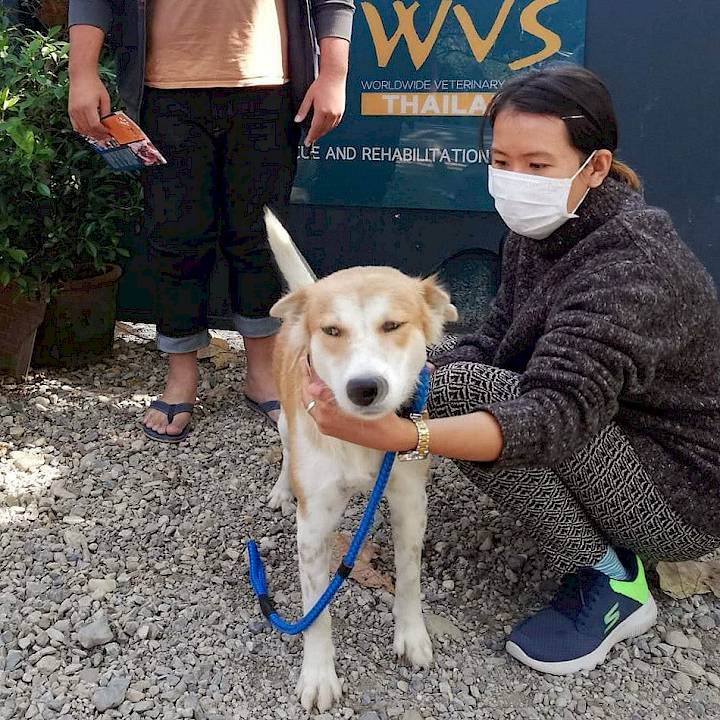 Leave it to the Experts!