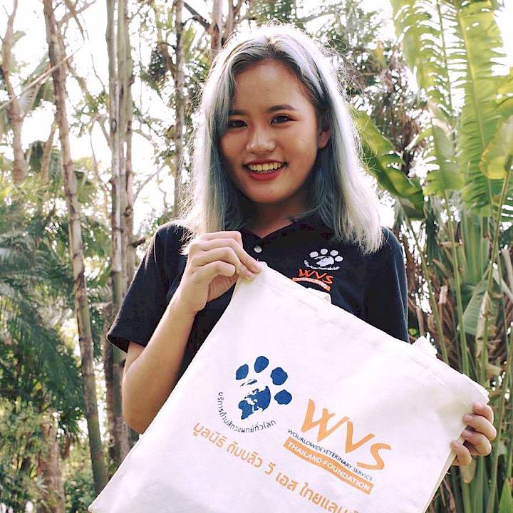 กระเป๋าผ้า WVS ของขวัญสุดพิเศษสำหรับคริสต์มาสนี้ พร้อมขายแล้ว!