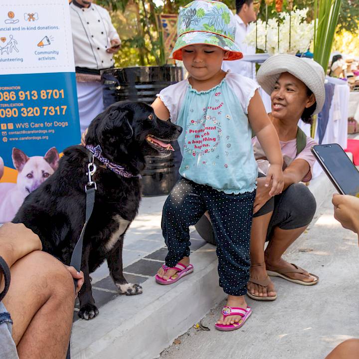 City Life Garden Fair 2019