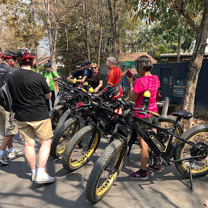 Thank you Buzzy Bee Bike!