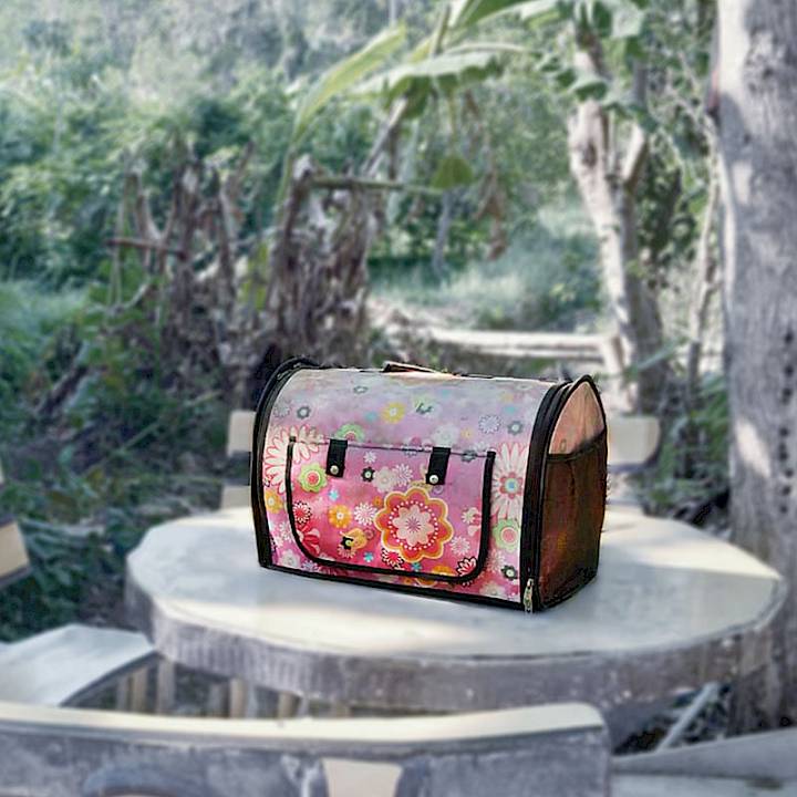 ชิสุห์ผู้ถูกทิ้งอย่างน่าสงสาร