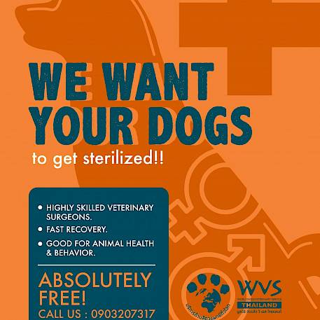 We want your dogs... to get sterilized!