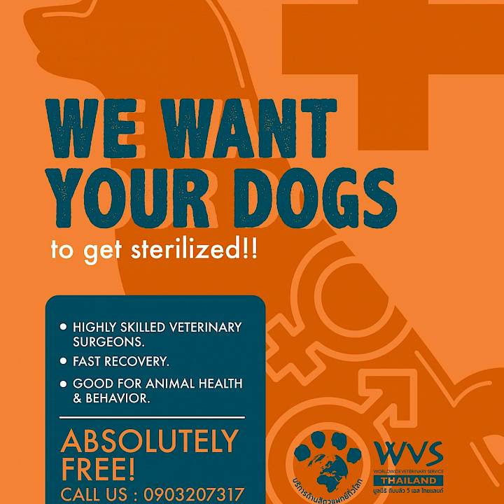 We want your dogs... to get sterilized!