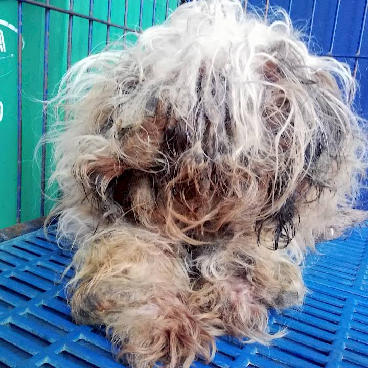 อัพเดท ชีวิตใหม่ของน้องจูลิโอ