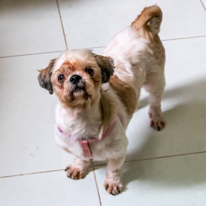 อัพเดท ชีวิตใหม่ของน้องจูลิโอ