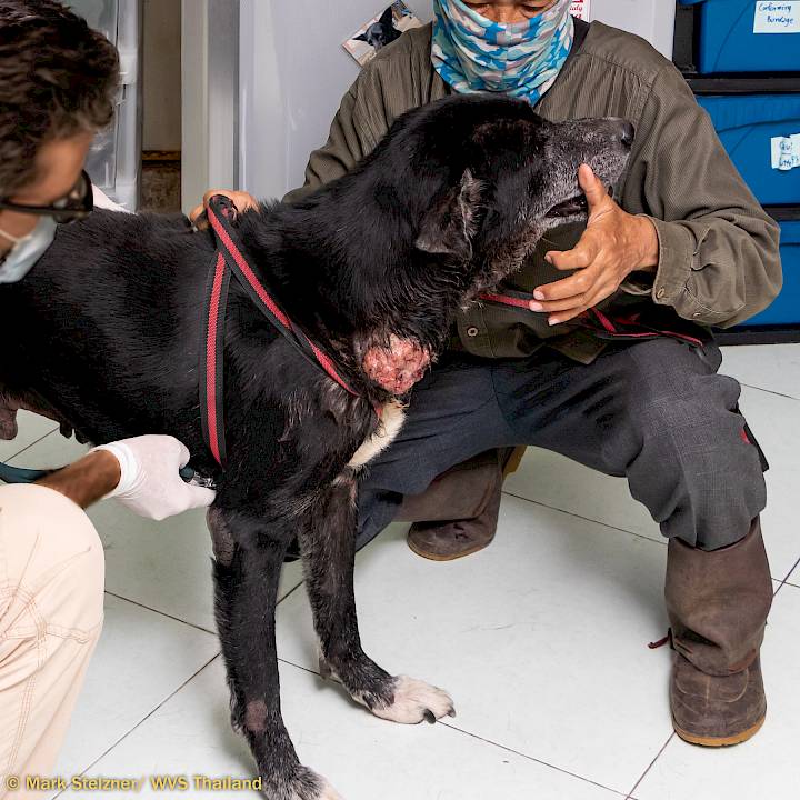 คุณปู่โชครอดแล้ว