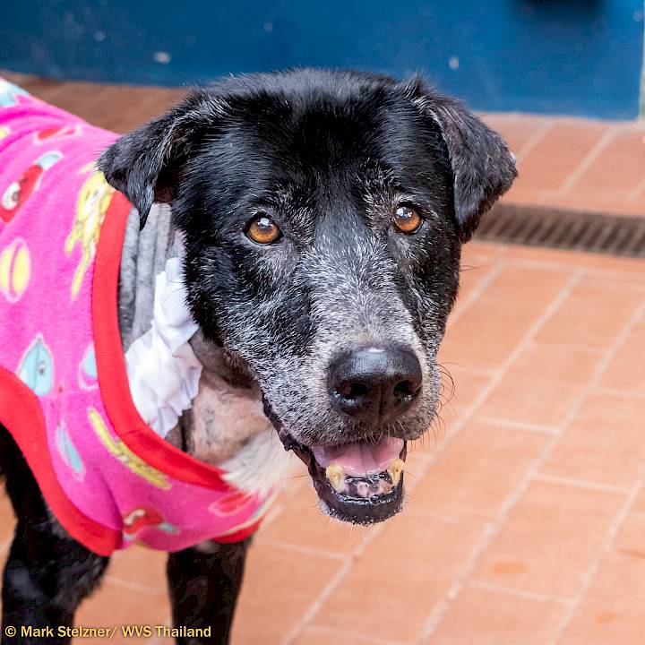 คุณปู่โชครอดแล้ว