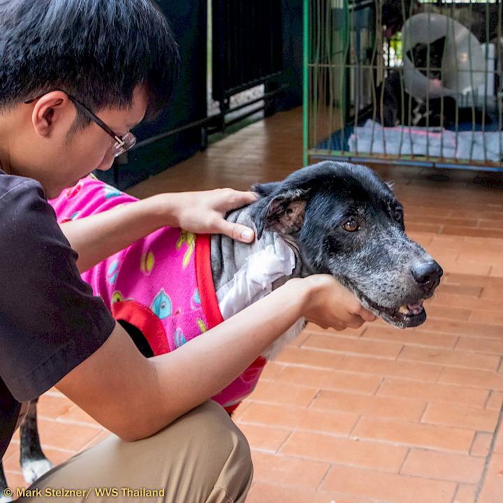 คุณปู่โชครอดแล้ว