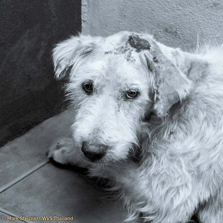 ช่วยกันรักษากายและเยียวยาจิตใจ