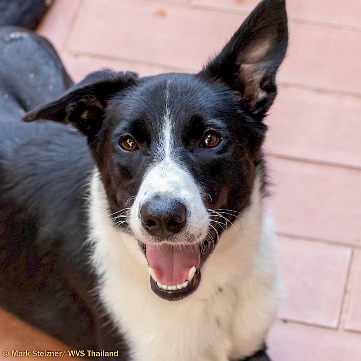 ซูกัสในระหว่างการรักษาตัว