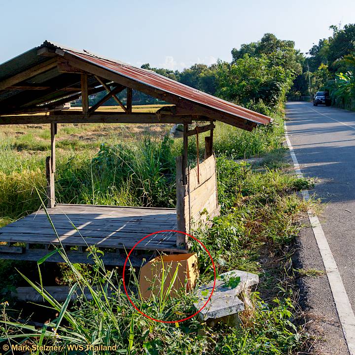 เจ้าหนูน้อยที่ถูกซ่อนไว้