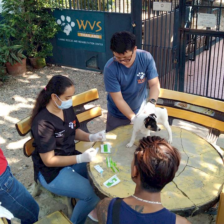 เจ้าหนูน้อยที่ถูกซ่อนไว้