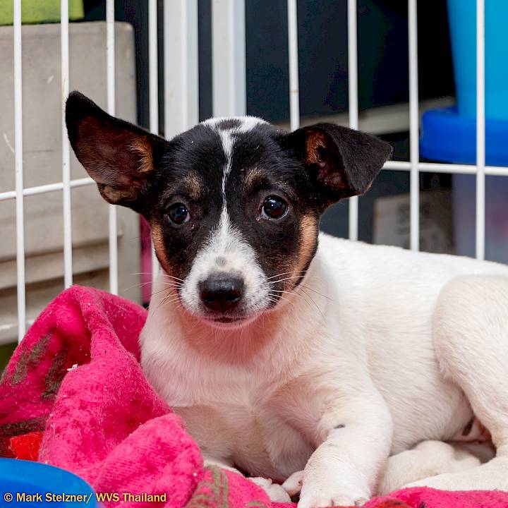 เจ้าหนูน้อยที่ถูกซ่อนไว้