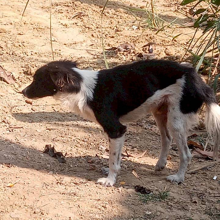 He Also Deserves Our Help