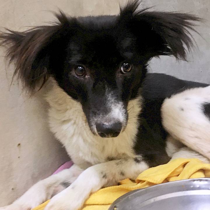 He Also Deserves Our Help