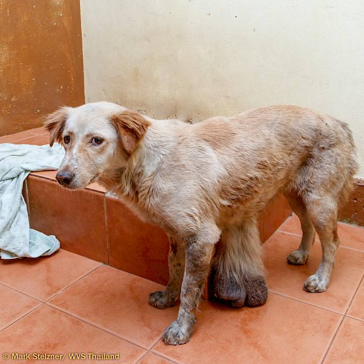 ถึงเหล่าเจ้าของทั้งหลาย โปรดอย่าได้รอช้าอีกเลย!