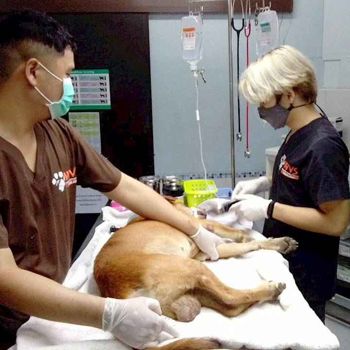 ช่วยกันคนละไม้คนละมือในชุมชนของเรา