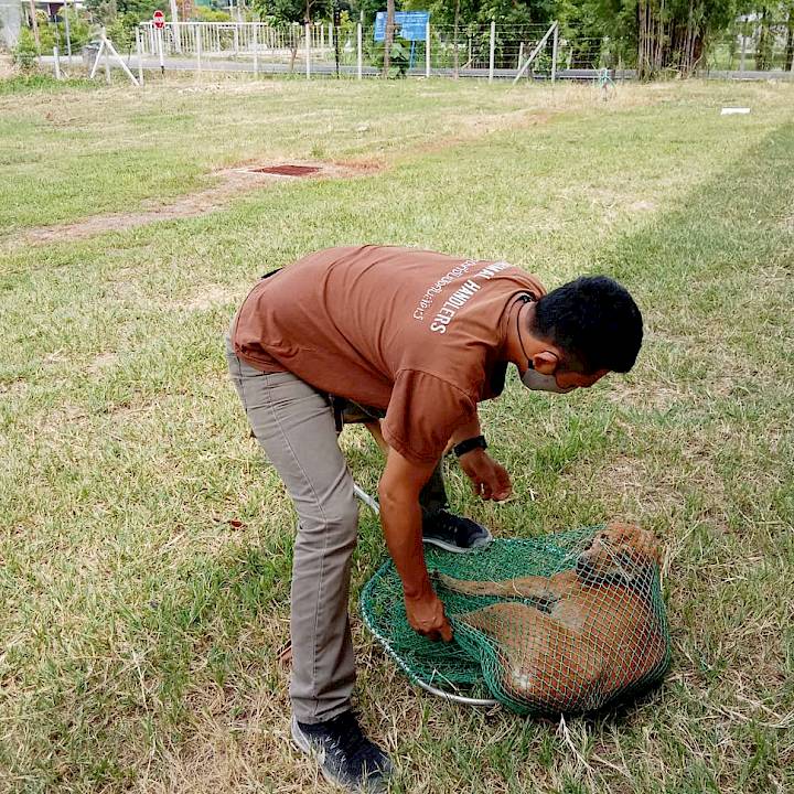 ช่วยกันคนละไม้คนละมือในชุมชนของเรา