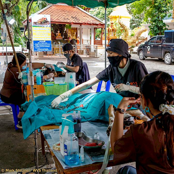 ภารกิจยังคงดำเนินต่อไป