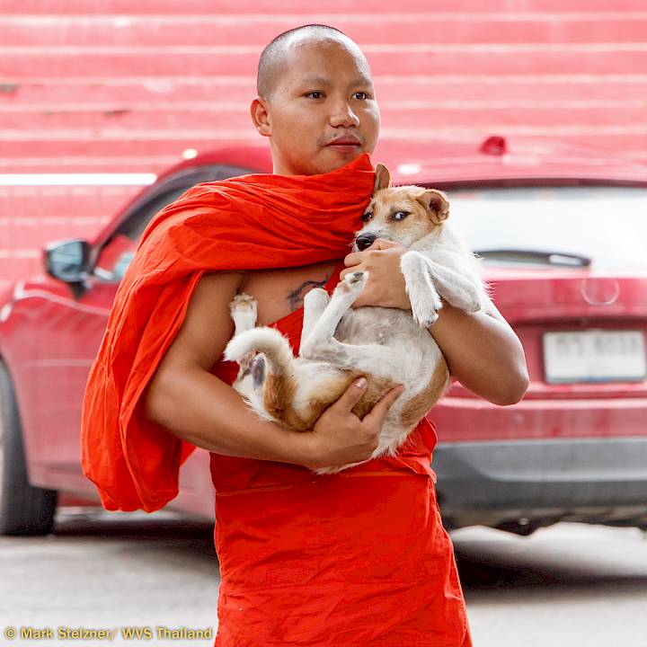 ภารกิจยังคงดำเนินต่อไป