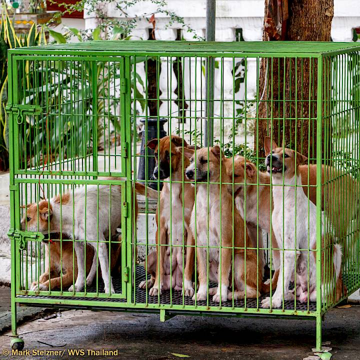 ภารกิจยังคงดำเนินต่อไป