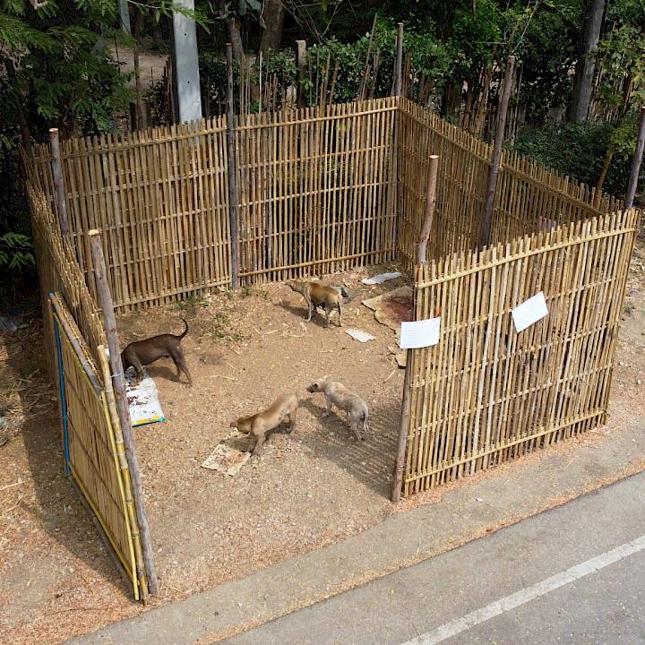 Major Outreach Project Begins!