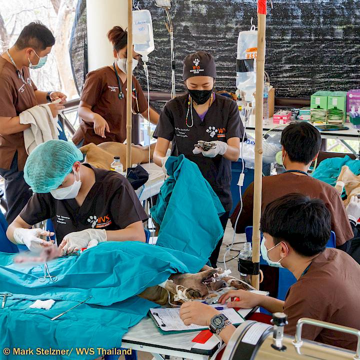 Lampang- Mission Accomplished!