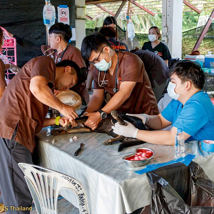 More Progress in Pai!