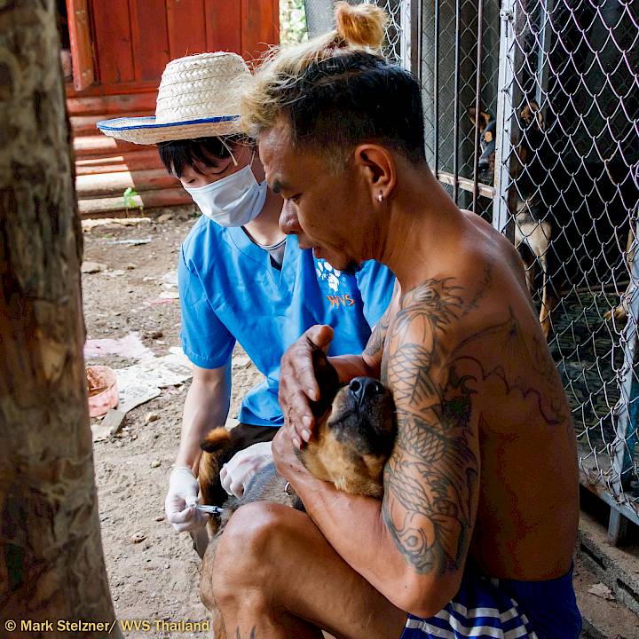 More Progress in Pai!