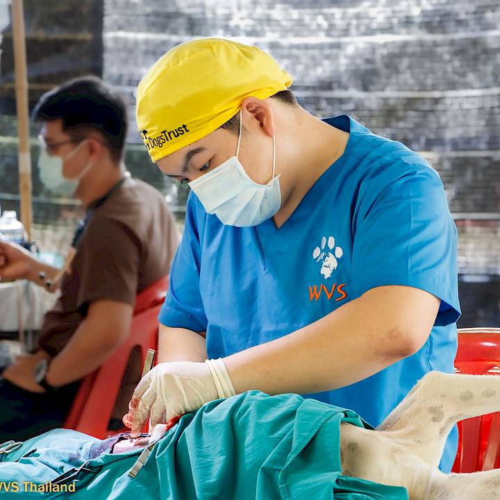 More Progress in Pai!