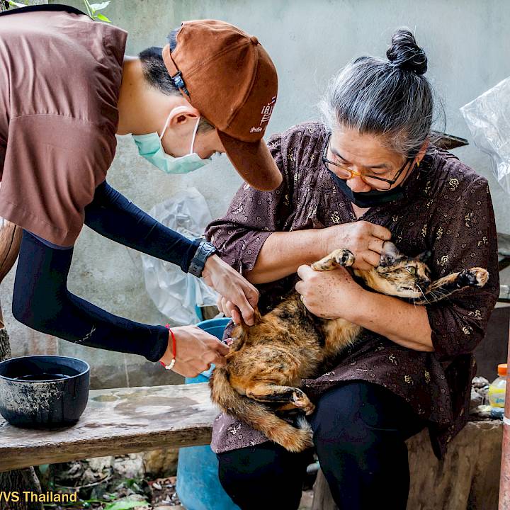 More Progress in Pai!