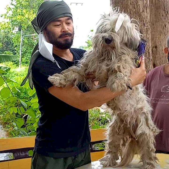 Thank you, Ambassador Addy!