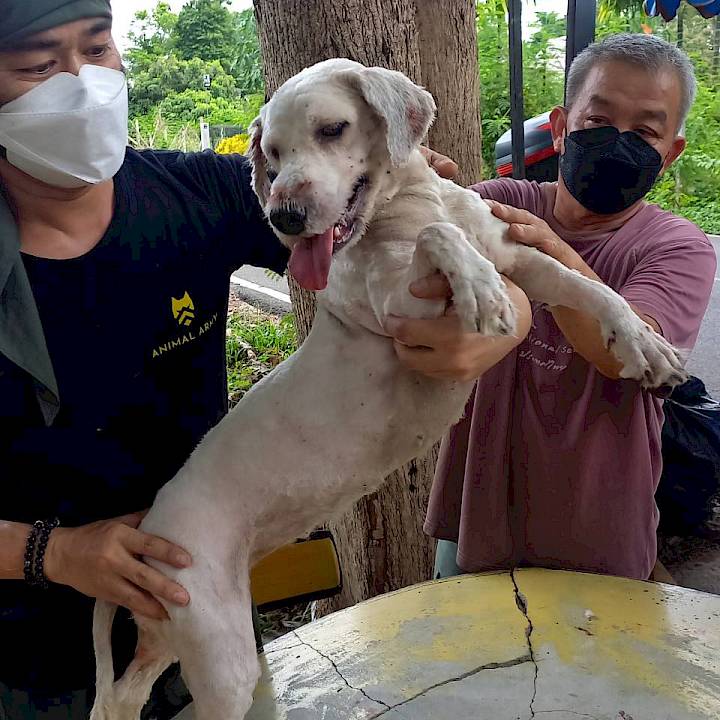 Thank you, Ambassador Addy!