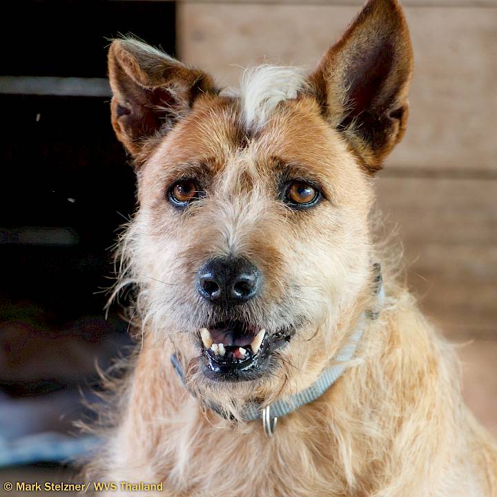 Thank you, Ambassador Addy!