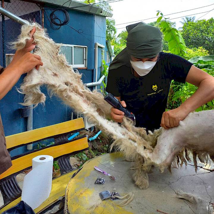 Thank you, Ambassador Addy!