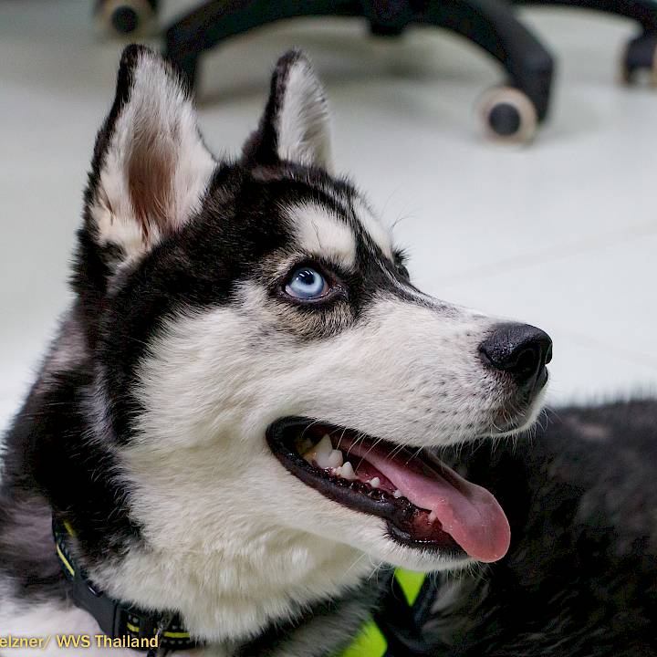 YOU Can Make This Happen!!