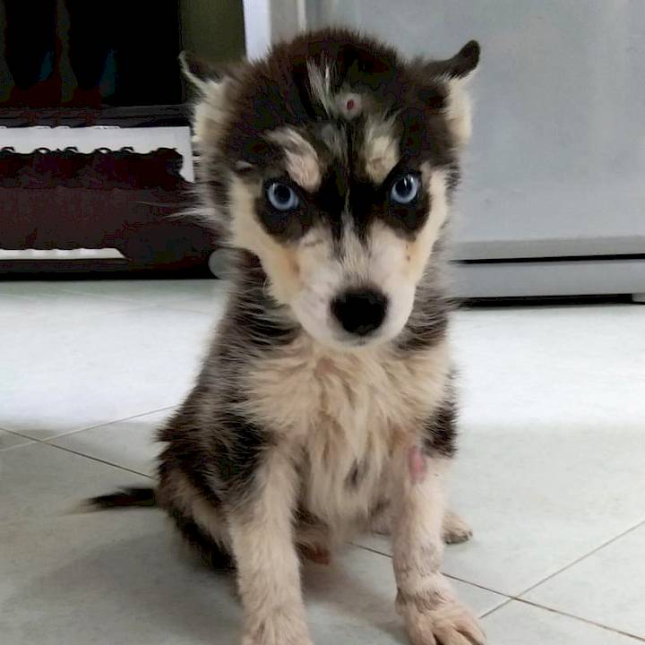 YOU Can Make This Happen!!