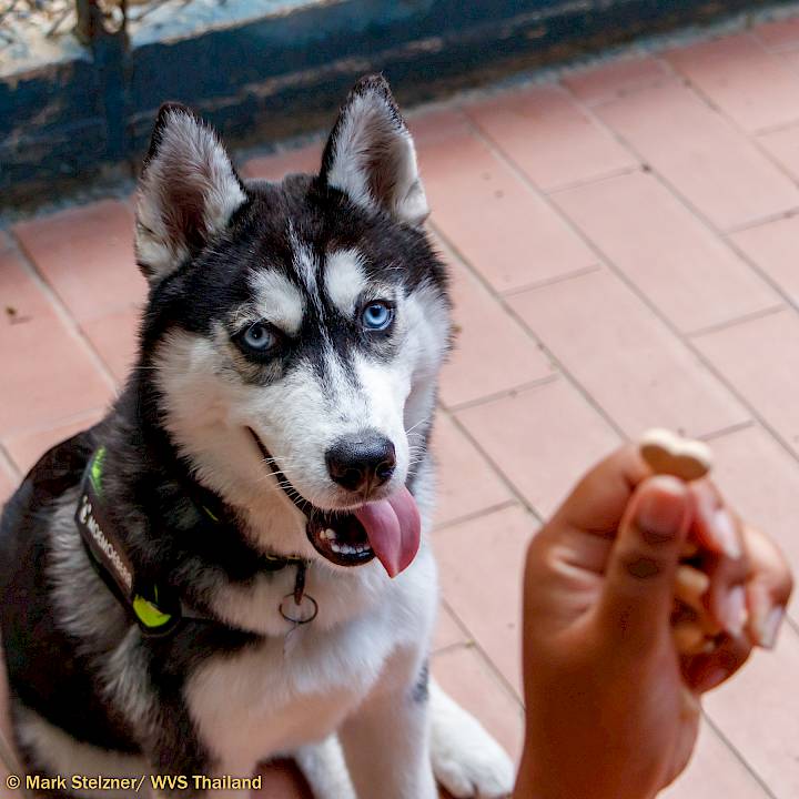 YOU Can Make This Happen!!