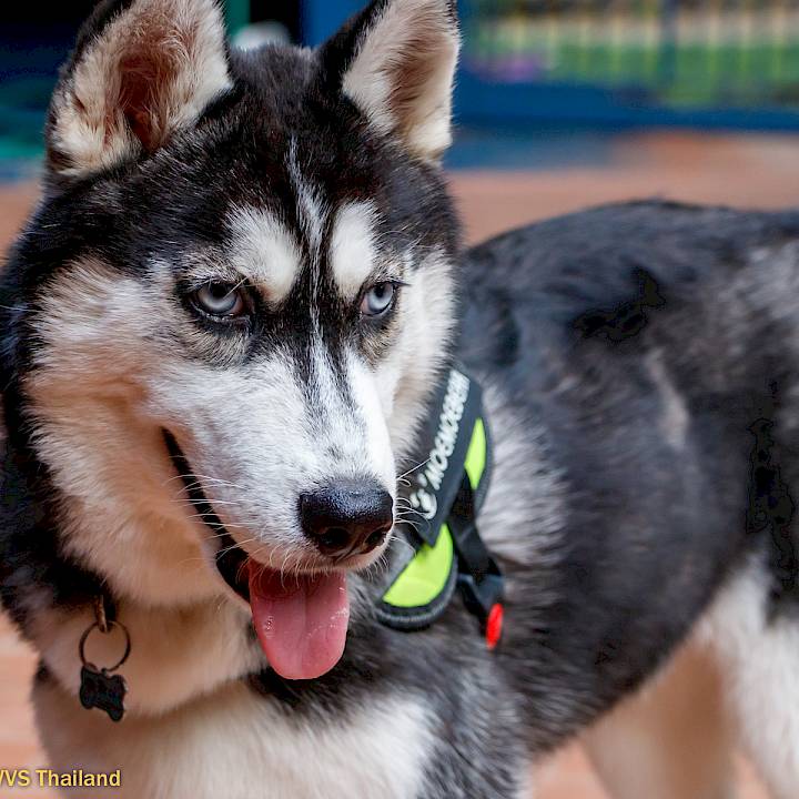 YOU Can Make This Happen!!