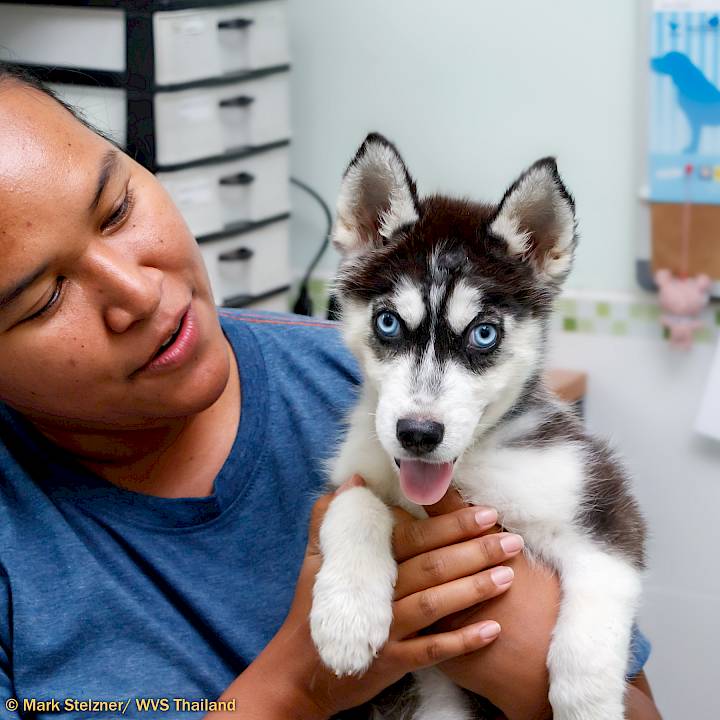 YOU Can Make This Happen!!