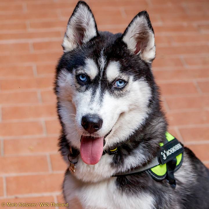 YOU Can Make This Happen!!