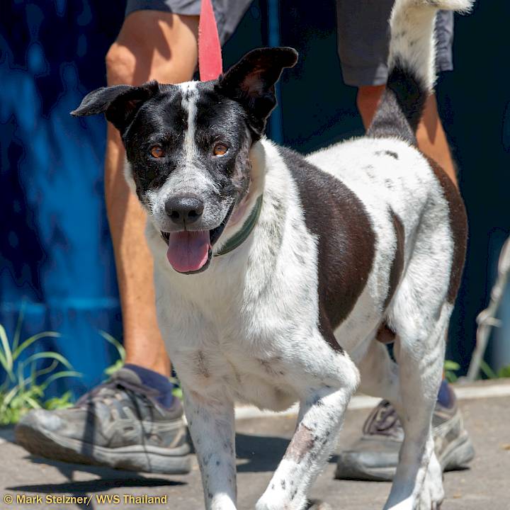 Another Gunshot Victim!