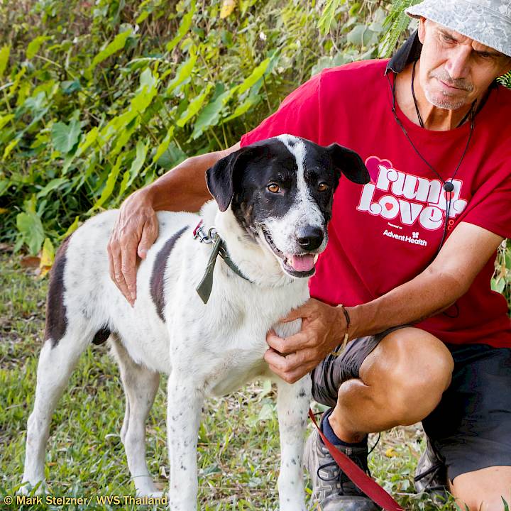 Another Gunshot Victim!