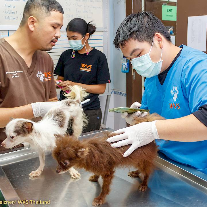 An (Almost) Perfect Rescue Story