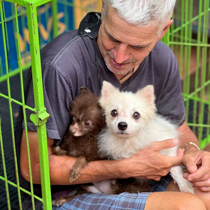 An (Almost) Perfect Rescue Story