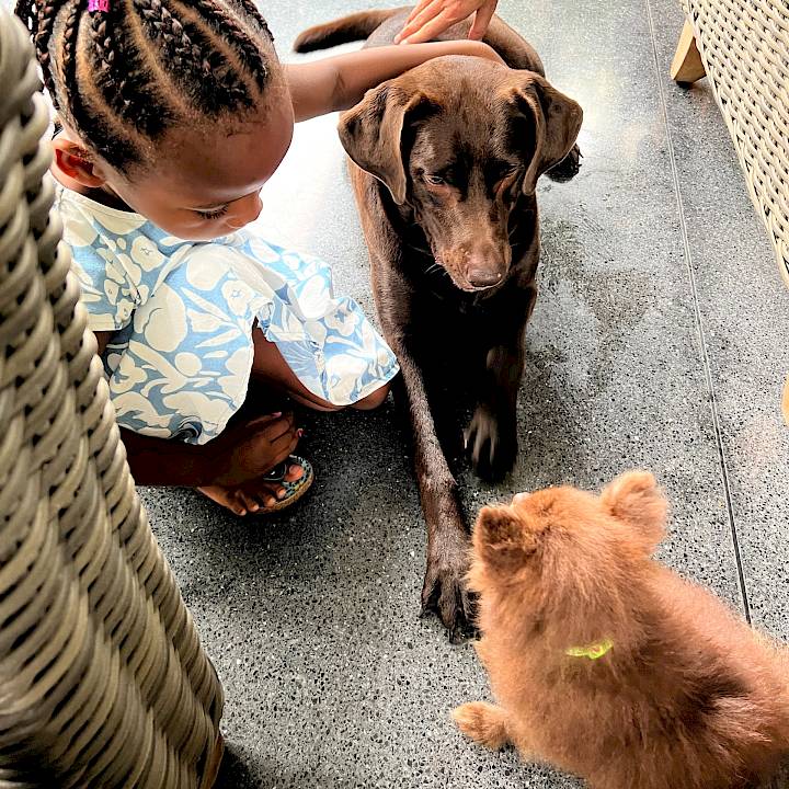 An (Almost) Perfect Rescue Story