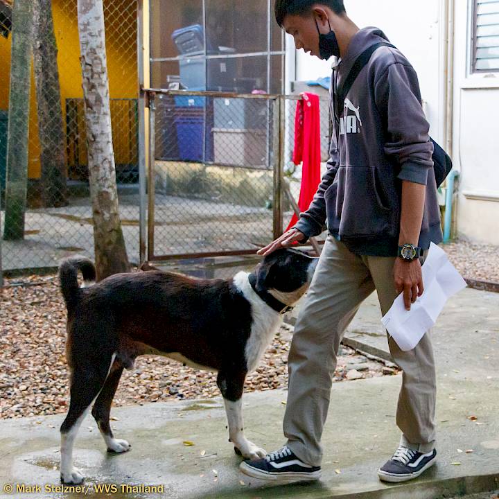 Urgent: Please Save this Beautiful Soul!