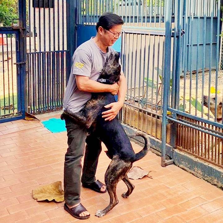 New Year Brings a New Life for Milo