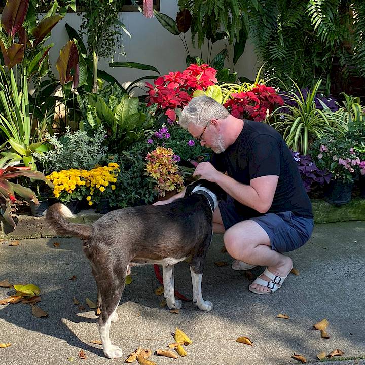 Long Journey - Happy End!