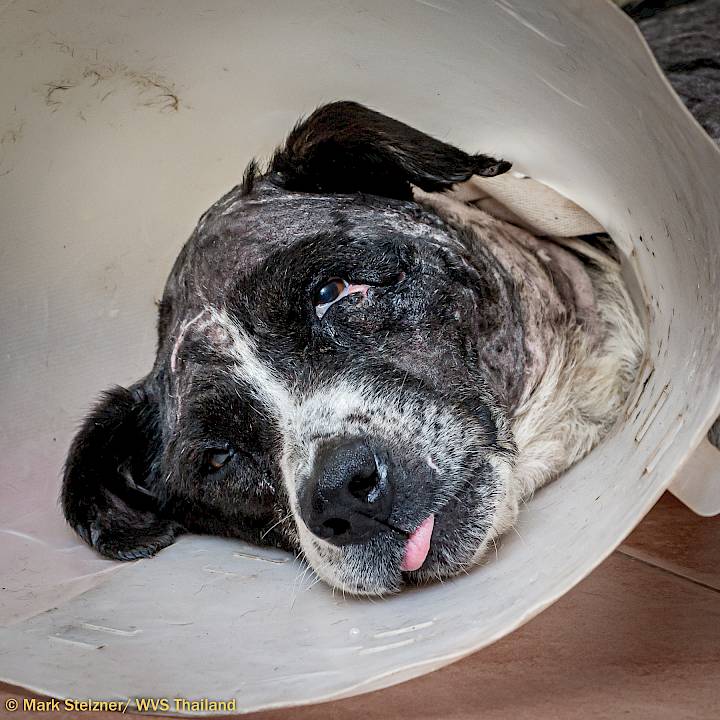 Long Journey - Happy End!